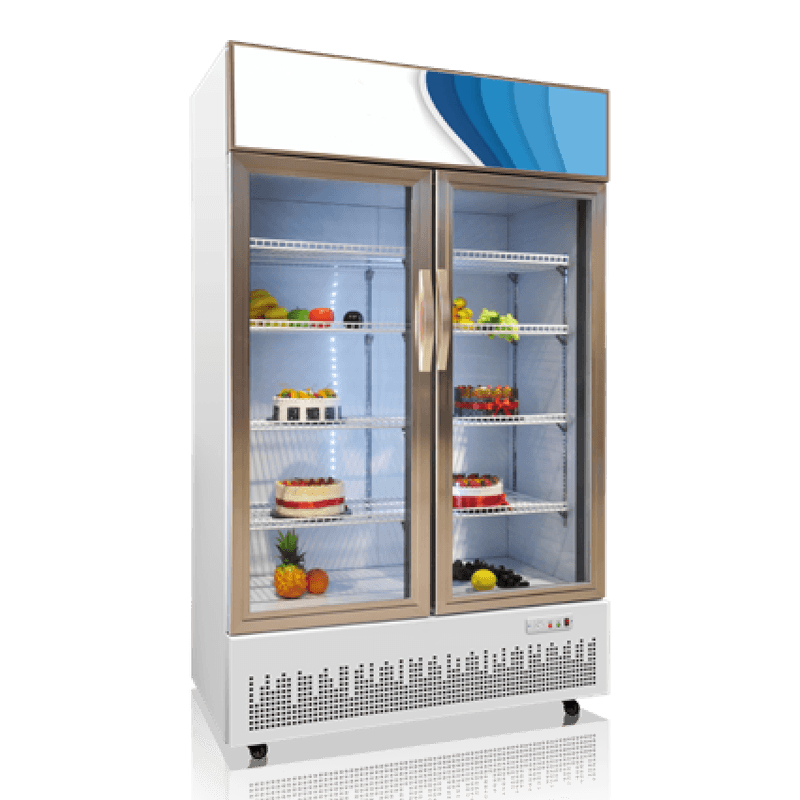 Zamrażarka z drzwiami przesuwnymi o niskim poziomie hałasu